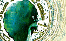 تشریح برنامه های چهارمین همایش ایین های عاشورایی