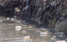 وضعيت جمع آوري زباله در کربلا مطلوب نيست