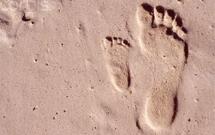 حضور امام حسين(ع) در کتاب‌هاي درسی کمرنگ است