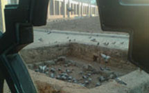 معاون حرم امام حسين(ع) خواستار ساخت ضريح در بقيع شد