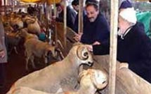 ذبح قربانی به صورت وکالتی انجام می گیرد