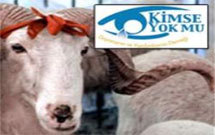 ترکیه در میان مسلمانان 40 کشور گوشت قربانی توزیع می‌کند