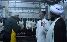 ناظران ذبح شرعي آذربايجان‌شرقي در تاسوعا و عاشورا فعالیت می‌کنند