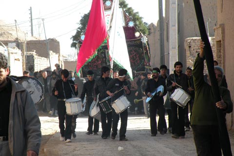 حاشيه‌اي بر آيين نخل گرداني روستاي فدافن