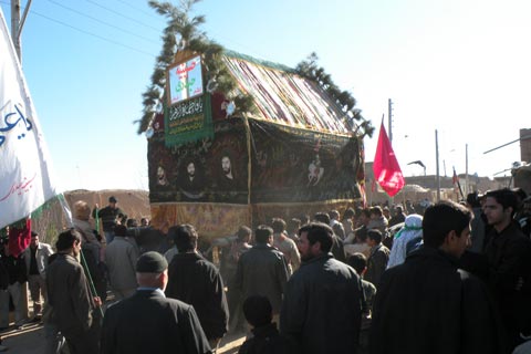 حاشيه‌اي بر آيين نخل گرداني روستاي فدافن
