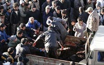 11 هزار راس دام به حسينيه اعظم زنجان اهدا شد