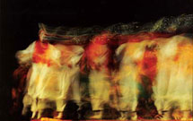 «یک شاخه گل سرخ» در همدان اجرا مي‌شود