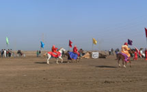 مراسم آیینی تعزیهخوانی در یاسوج برگزار شد مراسم آیینی تعزیهخوانی در یاسوج برگزار شد