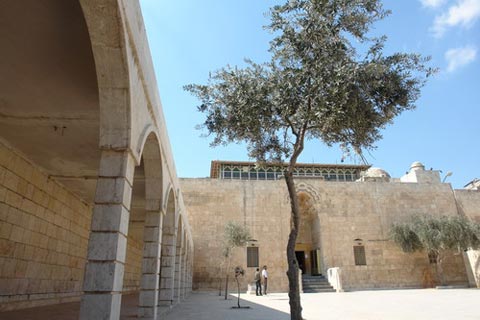 مقام راس الحسین(ع) در شهر حلب