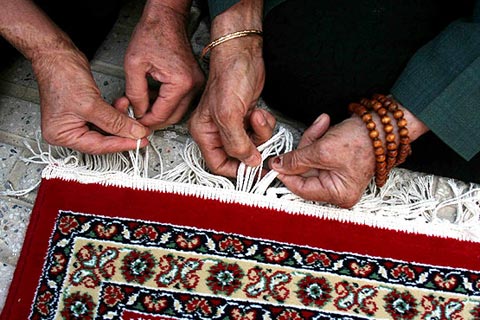 213 تخته فرش به بارگاه امام حسين(ع) اهدا ش