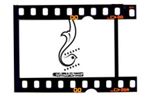 جشنواره فیلم دینی رویش فراخوان می‌دهد