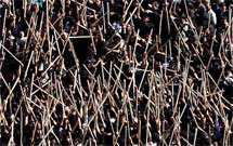 تکرار کربلا در مراسم قالی‌شویان