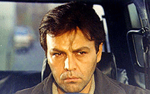 درباره فریبرز عرب‌نیا