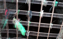 در کلام امام حسین(ع): نشانه دانشمند