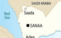 استقبال یمن از پیشنهاد نصرالله