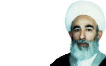 عقلانیت بر نگاه پژوهش‌محور علامه عسگری حاکم بود