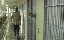 تعداد زندانیان مسلمان در زندان از سایر مذاهب کمتر است