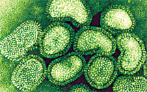 درباره آنفلوآنزای نوع آ و پیشگیری و درمان آن