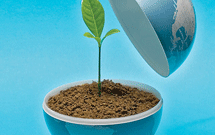 طرح‌های مسلمانان برای بهبود محیط زیست