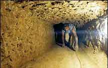 بیشترین کودکان کار جهان در فلسطین هستند