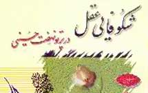 درباره کتاب شكوفایی عقل در پرتو نهضت حسینی