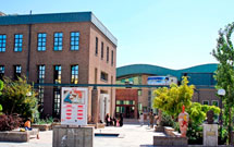 نشست «زيبايی‌شناسی ادب و هنر عاشورا» در فرهنگسرای انقلاب برپا می‌شود