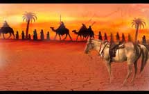 کتاب «همسفرآفتاب»، داستان منظوم كربلا روایت می‌کند