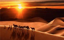 نرم‌افزار «از حجاز تا کربلا» در اراک طراحی شد