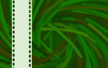 فیلم «معامله با خدا» تولید می‌شود