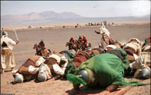 پخش «مختارنامه» در ماه رمضان