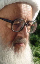 دهه فاطميه بايد تبديل به عاشورای دوم شود