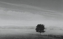 عاقل باش عاقل باش