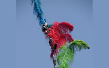 نمادهای تصویری عاشورا ۱// نشانه شناسی و نمادسازی