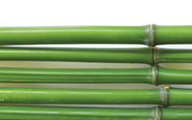 شعر بافرهنگ