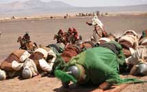 کمک هزینه سفر حج به دست‌اندرکاران «مختارنامه»