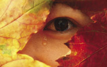 گریستن یا نِگریستن گریستن یا نِگریستن