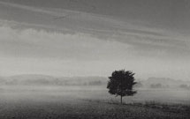 مضمون ناب مضمون ناب