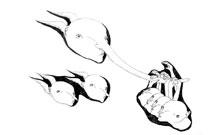 «قانون»،«همت جمعی»و«آموزش مردم» سه ابزار مقابله با دینداری عوامانه