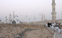 فرماندار مکه خواستار حل معضل ترافیک این شهر شد