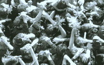 تصاویری حافظ ایمان و آیین