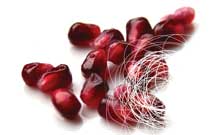 شعر آیینی... نقطه سر خط!