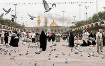 اعلام شرایط و نحوه ثبت‌نام جدید عتبات عالیات