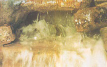 تکذيب مخلوط کردن زمزم با آب عادی