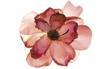 خير سرمان منتظر آقاييم!*