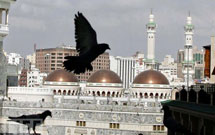 زخمی شدن ۳۰ زایر در تصادف بزرگراه مكه ـ مدينه زخمی شدن ۳۰ زایر در تصادف بزرگراه مكه ـ مدينه