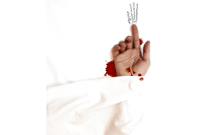 کلوبلاگ مسابقه وبلاگنویسی عاشورایی برگزار میکند کلوبلاگ مسابقه وبلاگنویسی عاشورایی برگزار میکند