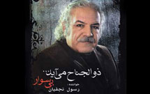 «ذوالجناح می‌آید بی سوار» منتشر شد