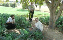 «زمینه خوانی» میراثی گرانبها در ادب و آداب مدح اهل بیت است «زمینه خوانی» میراثی گرانبها در ادب و آداب مدح اهل بیت است