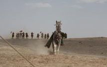 عکس تزئینی است