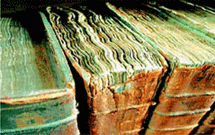 انتشار ۴۰ عنوان کتاب مجازی برای عمرهگزاران انتشار ۴۰ عنوان کتاب مجازی برای عمرهگزاران